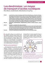  Les dendrimères : un moyen de transport d’acides nucléiques