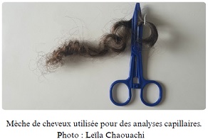 Mèche de cheveux utilisée pour des analyses capillaires. Photo : Leïla Chaouachi