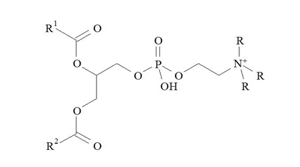 Formule des lécithines