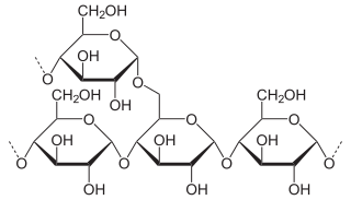 NEUROtiker, Wikimedia Motif de l'amylopectine